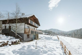 mirnockAHOI - Ferienhaus für bis zu 6 Personen, maritimes Bergerlebnis, Panoramablick von Terasse und Balkon, Carinthia, Millstättersee